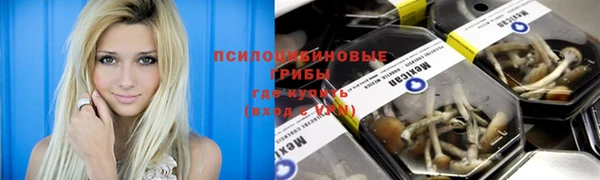 мет Арсеньев