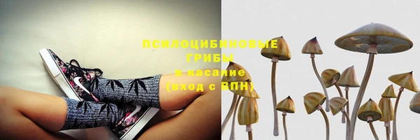 мет Арсеньев